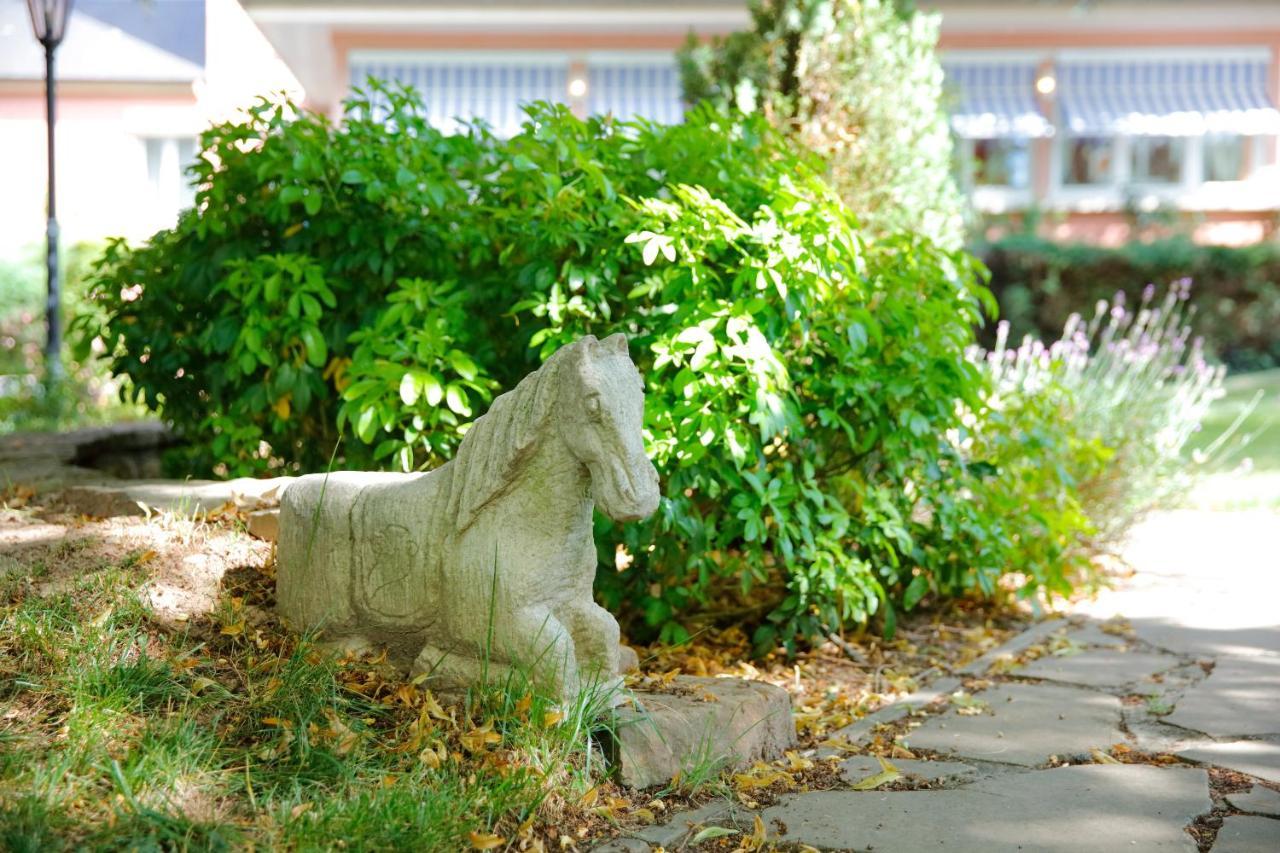 Hotel Gruber Steinheim Εξωτερικό φωτογραφία